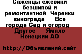 Саженцы ежевики безшипой и ремонтантной. Черенки винограда . - Все города Сад и огород » Другое   . Ямало-Ненецкий АО